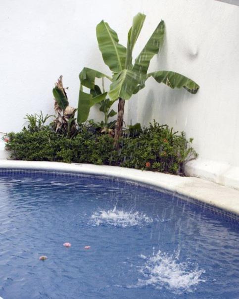 El Hotelito 아카풀코 외부 사진